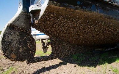 How Do You Prevent Barnacles on a Boat?