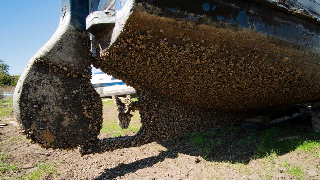 How Do You Prevent Barnacles on a Boat?