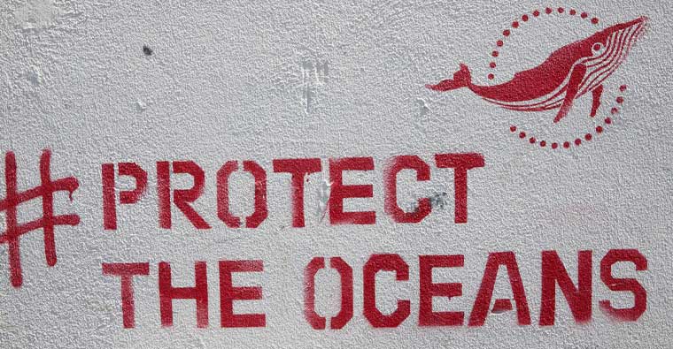 Hashtag protect the oceans red graffiti on a white wall with whale logo