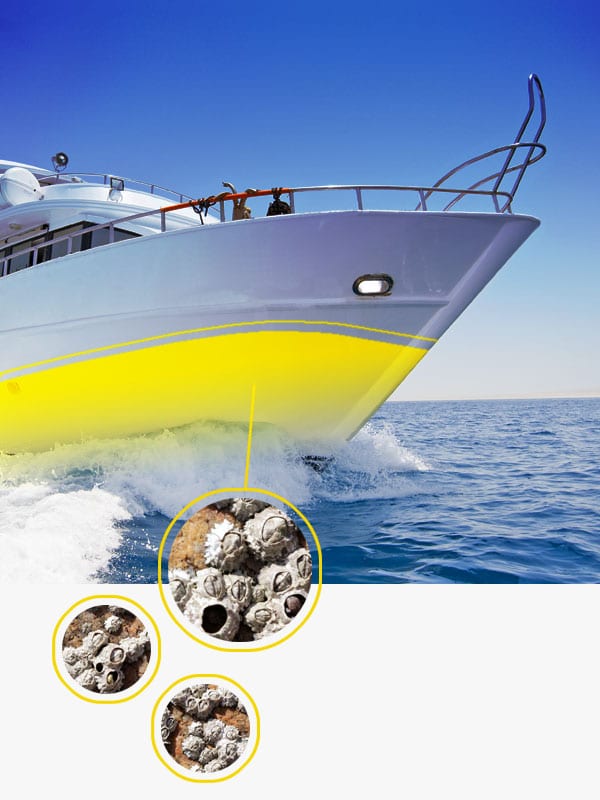 Picture of yacht showing where marine growths are